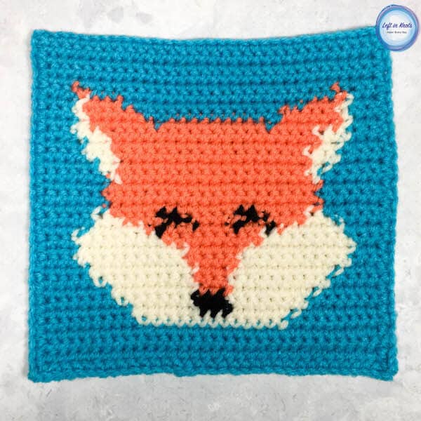 Crochet Fox Hook Case Free Crochet Pattern  Crochet case, Crochet fox,  Crochet projects